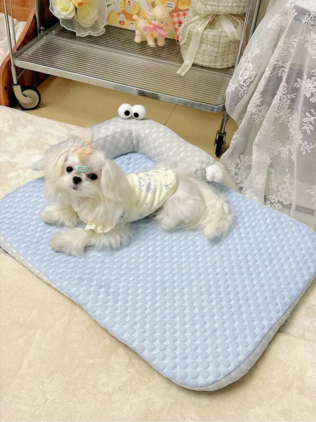 cama ortopédica para cães com capa removível