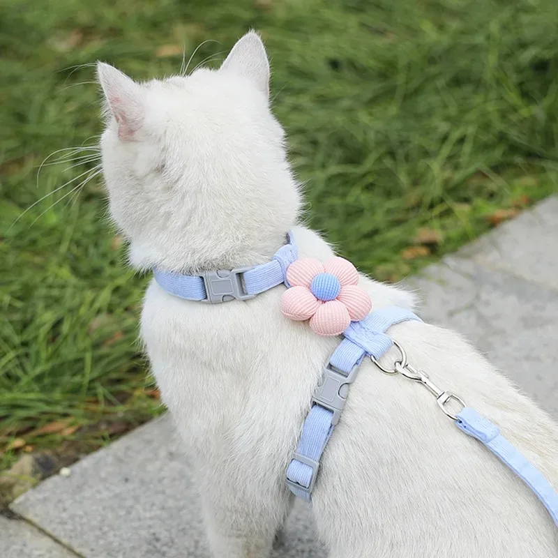 Coleira e Peitoral para Gatos e Cães Pequenos Ajustável para Passeio - Imagem 4