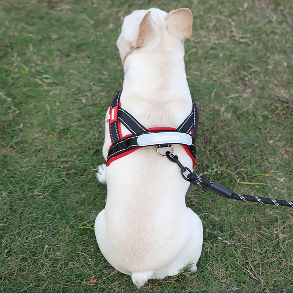 Colete Peitoral Acolchoado para Cães Pequenos e Médios com Faixas Refletivas - Imagem 2