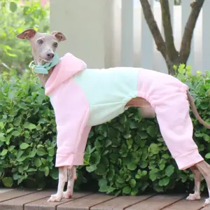 suéter de lã para cães galgo
