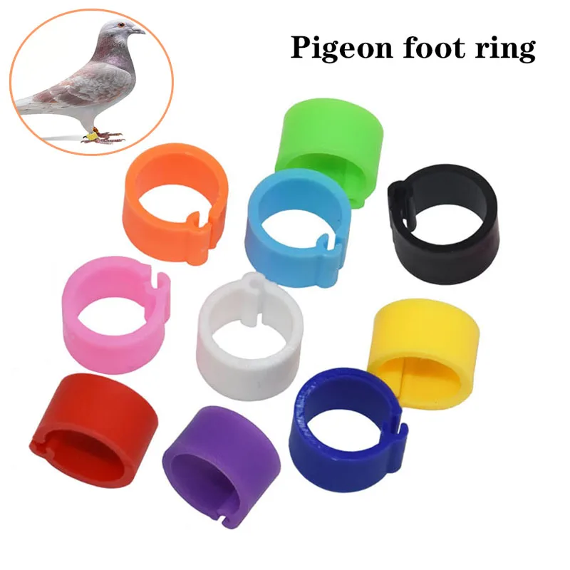 Anéis de Identificação para Aves Ajustáveis com Numeração - Imagem 2