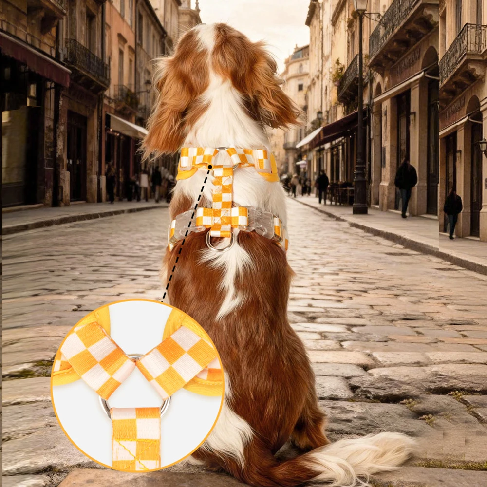 Coleira e Arnês para Cães Pequenos e Médios com Estampa Xadrez Ajustável - Imagem 4
