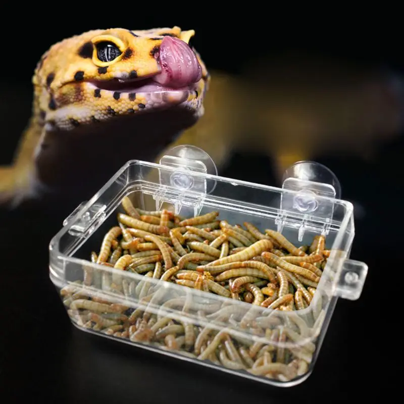 Alimentador para Répteis e Anfíbios com Ventosa 6x9 cm Anti-Escape - Imagem 4