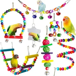 kit de brinquedos de madeira para pássaros