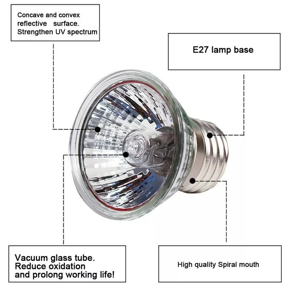 Lâmpada UVA UVB para Répteis 25W E27 Espectro Completo - Imagem 2