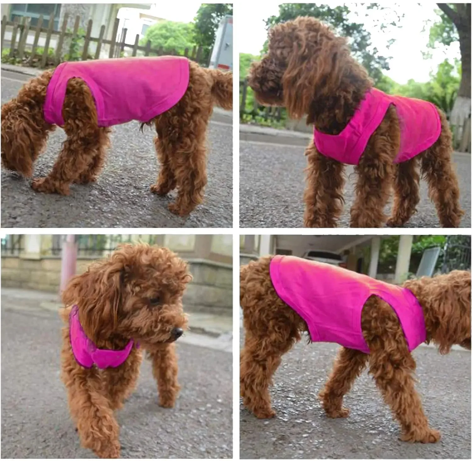 Camiseta para Cães e Gatos de Algodão Fino Macio - Image 4