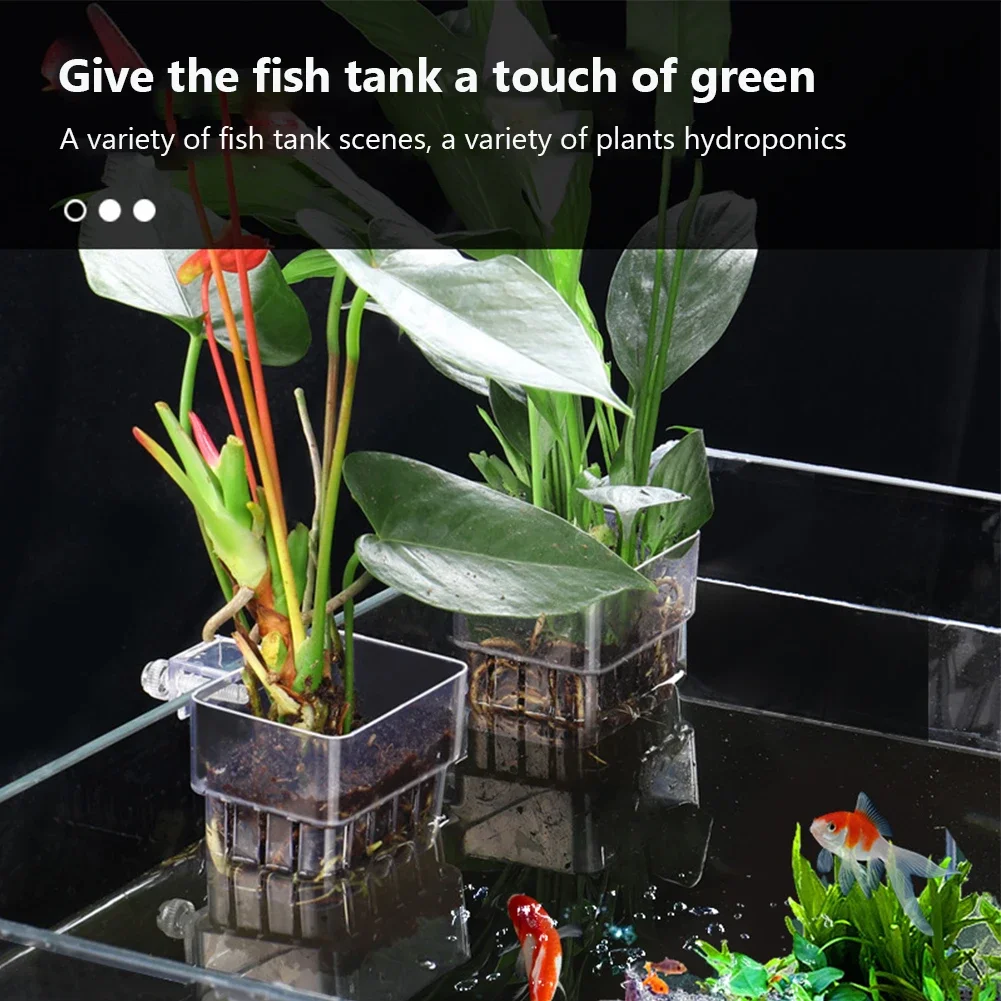 Cesta para Plantas de Aquário Transparente 8 x 8 x 5.7 cm Suspensa - Imagem 4