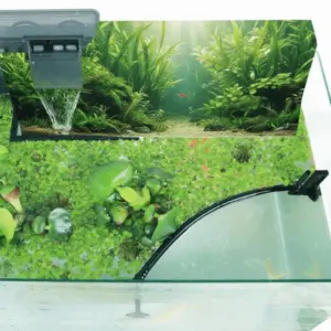 anel flutuante para aquário