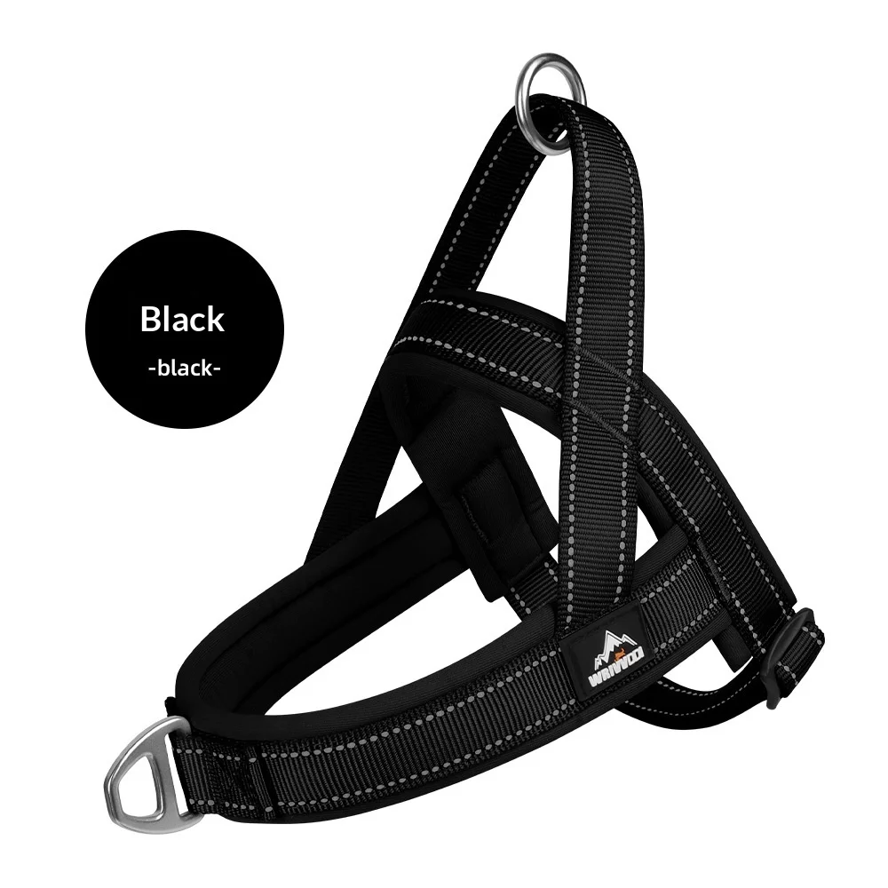 Coleira de Nylon para Cães Médios e Grandes Ajustável - Image 3