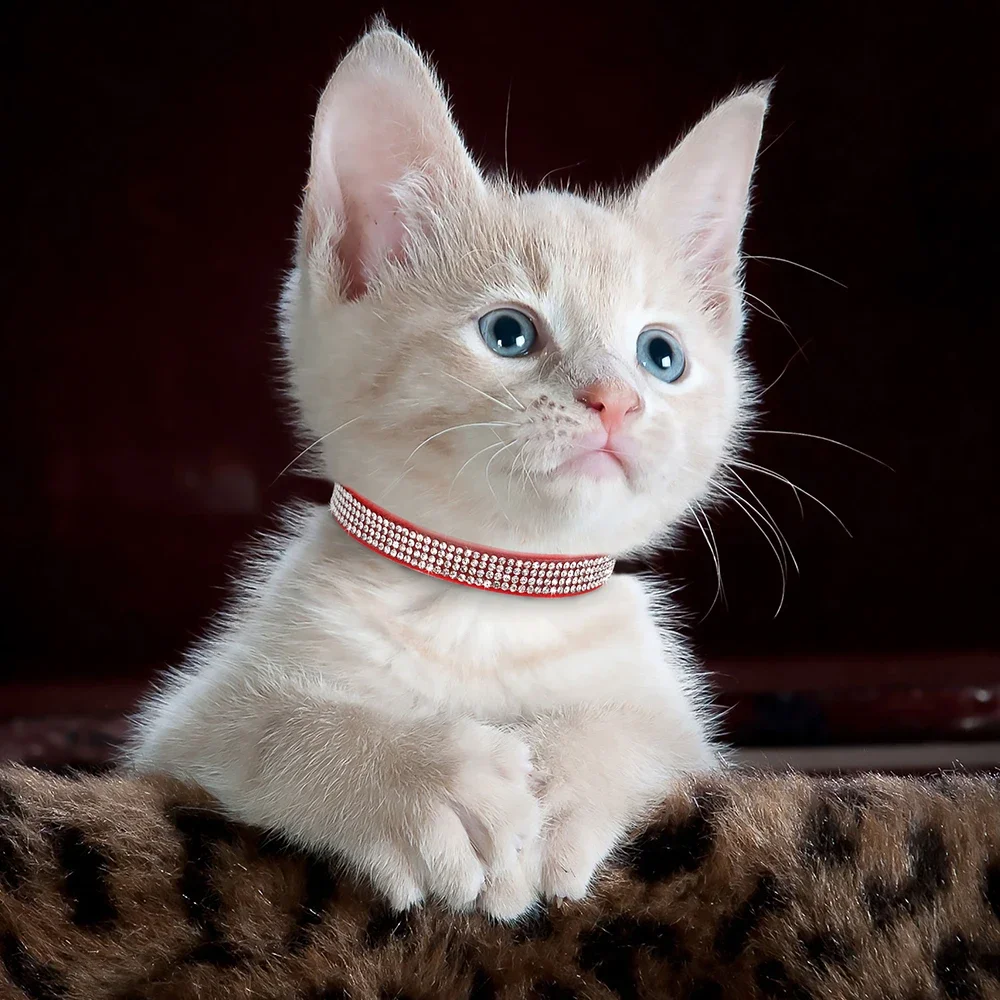 Coleira para Gato e Filhote de Camurça Rosa com Sino - Imagem 5