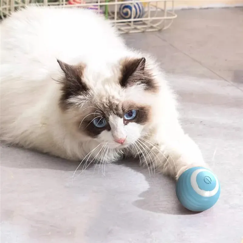 Bola Interativa para Gato Automática Azul Recarregável USB - Imagem 2