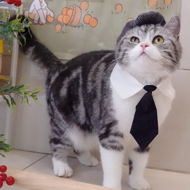 Chapéu Boina para Gatos com Gravata, Acessório para Fantasia - Imagem 3