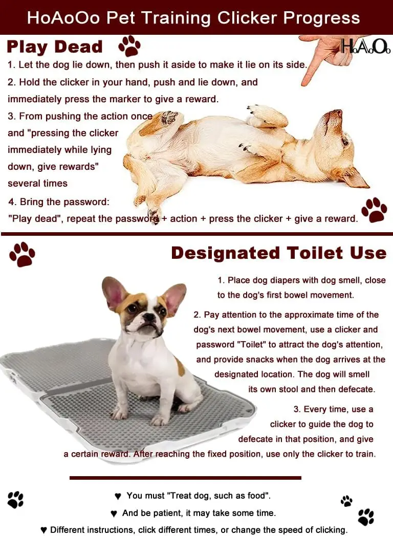 Clicker de Treinamento para Cães com Alça de Pulso e Apito - Imagem 5