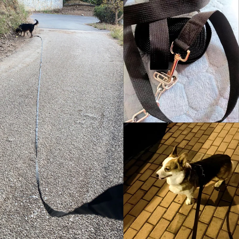 Coleira Guia para Cães Nylon 10m para Caminhada ao Ar Livre - Imagem 5