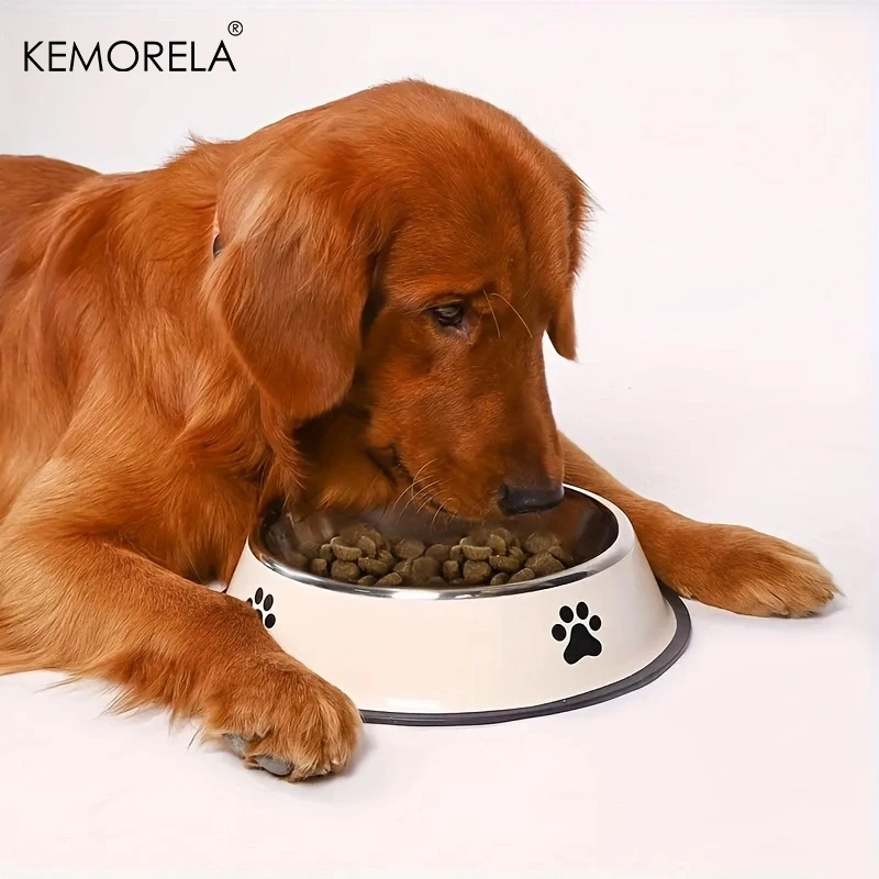 Tigela de Aço Inoxidável para Cães e Gatos com Recipiente para Ração - Imagem 2
