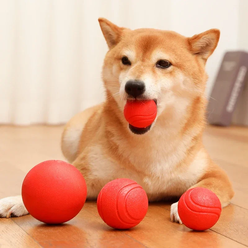 bola de borracha para cães
