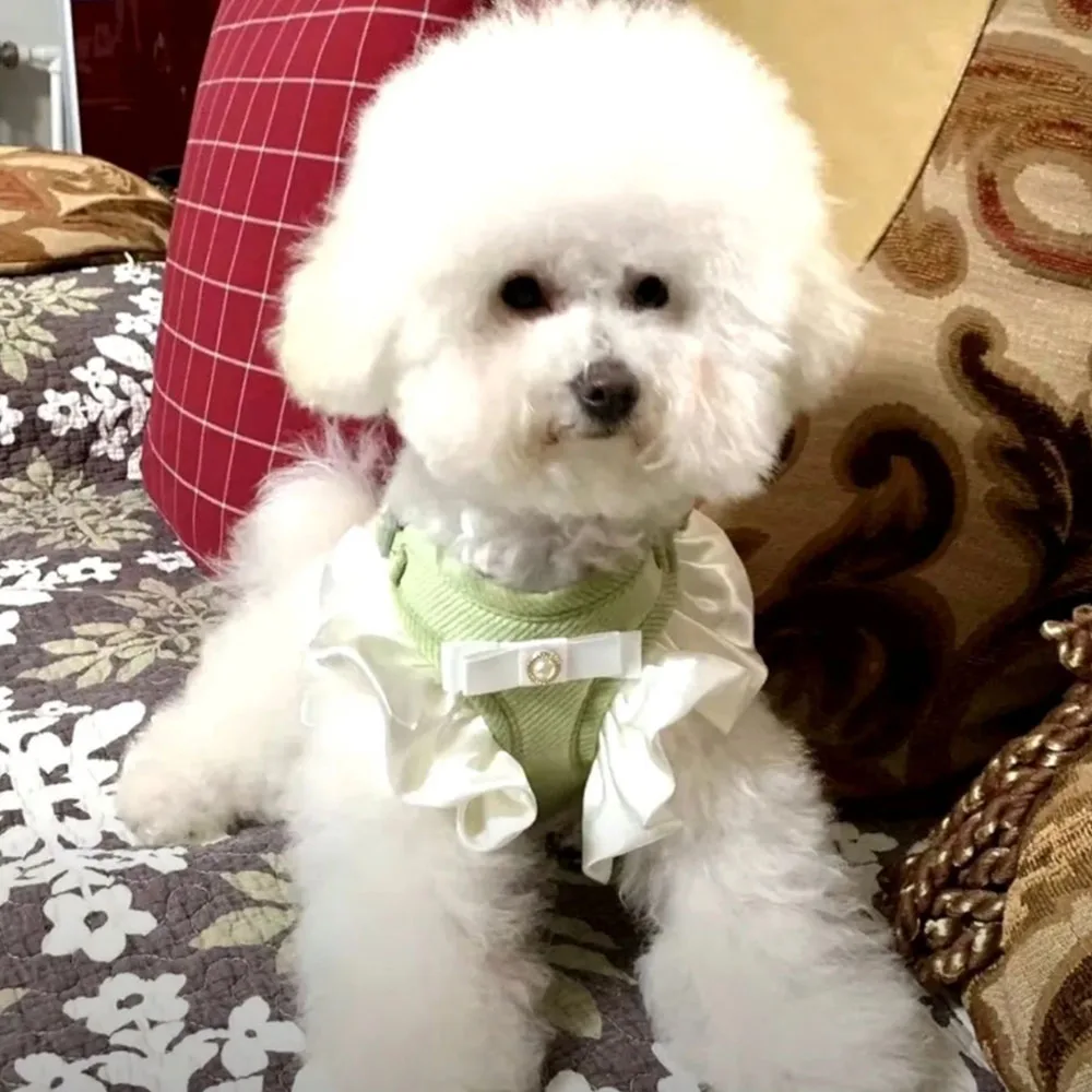 Colete Floral para Cães e Gatos com Laço Ajustável - Image 6