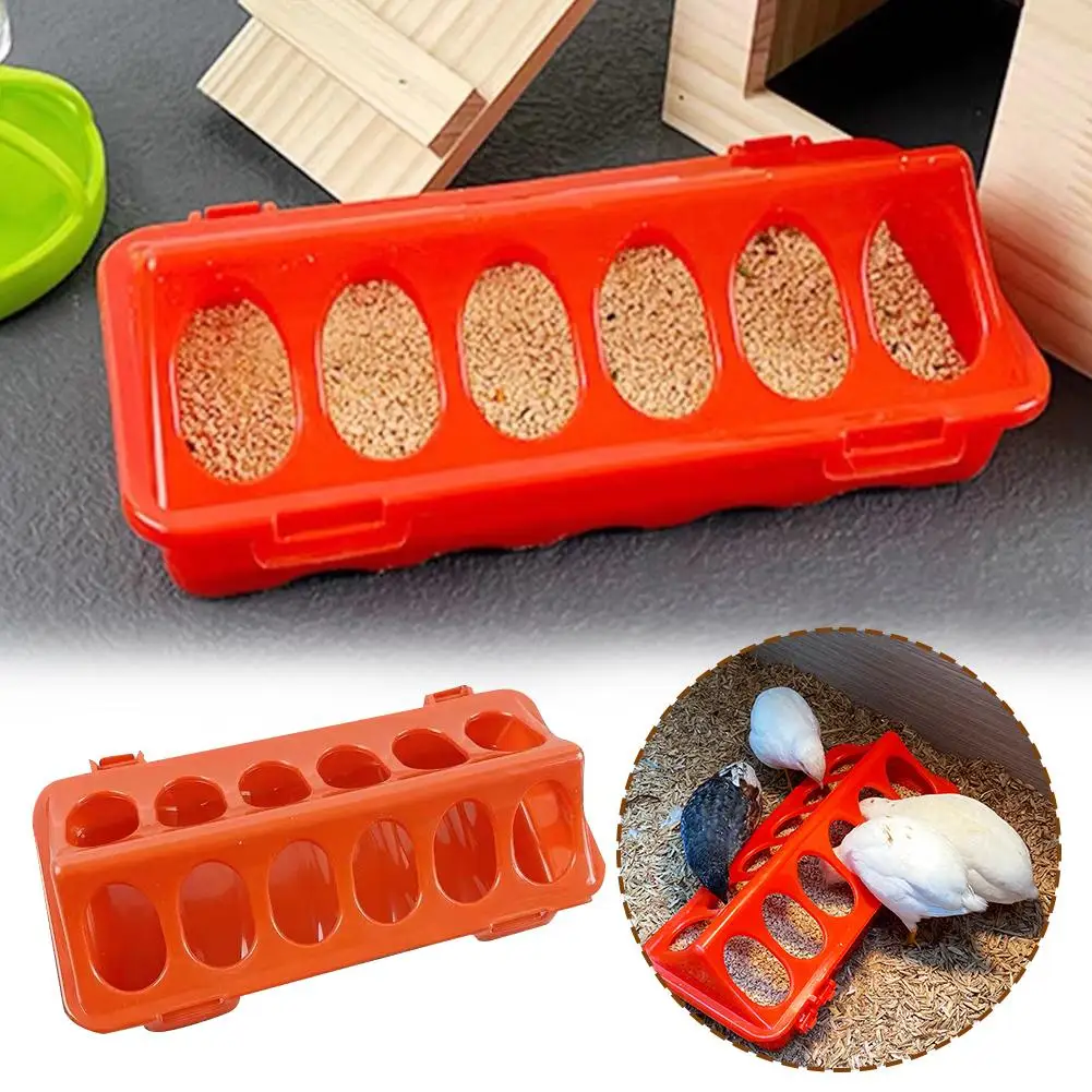 Bebedouro Rudin para Aves e Pintinhos de Plástico com Borda Lisa - Imagem 4