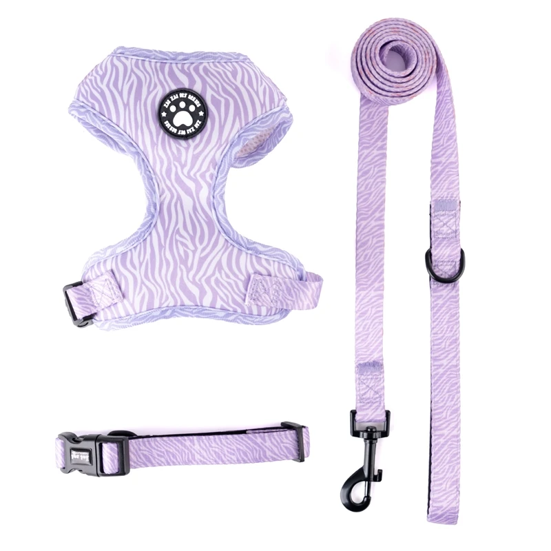 Peitoral Ajustável para Cães Pequenos e Médios com Guia para Passeio - Imagem 6
