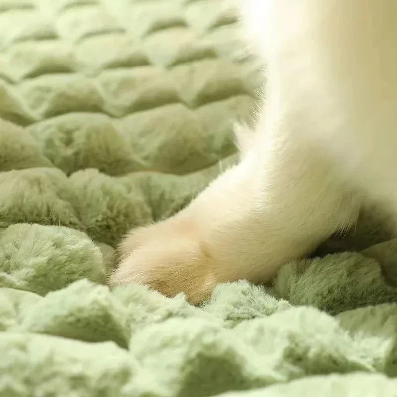 Cama Sofá para Cães e Gatos com Almofada Ortopédica Removível - Imagem 3