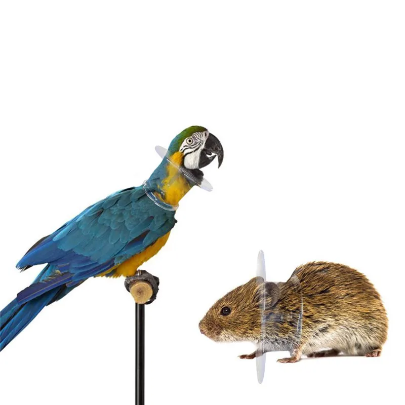 Colar Protetor para Pássaros Plástico com 10 cm de Diâmetro - Imagem 5