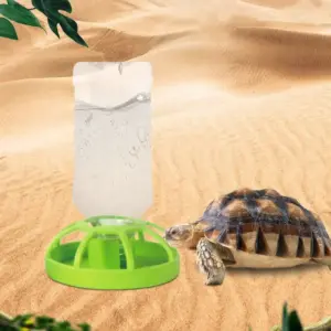 bebedouro automático para tartaruga