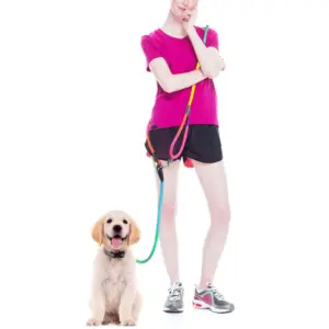 guia de nylon para cães mãos livres