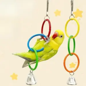 balanço para pássaros com sino