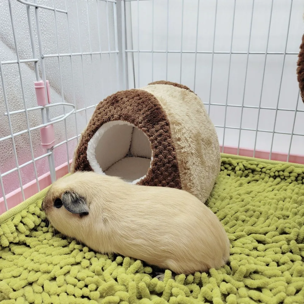 Ninho de Algodão para Hamster, Coelho e Cobaia Macio - Imagem 6