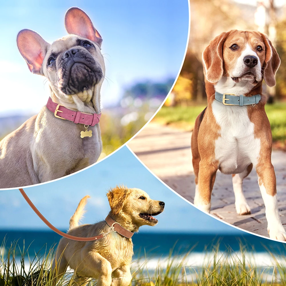 Coleira de Couro para Cães Ajustável e Acolchoada - Imagem 5