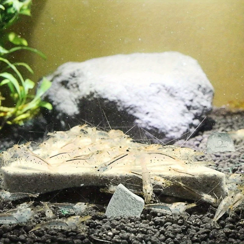 Pedra de Magnésio e Cálcio para Camarão e Caranguejo de Aquário - Imagem 5