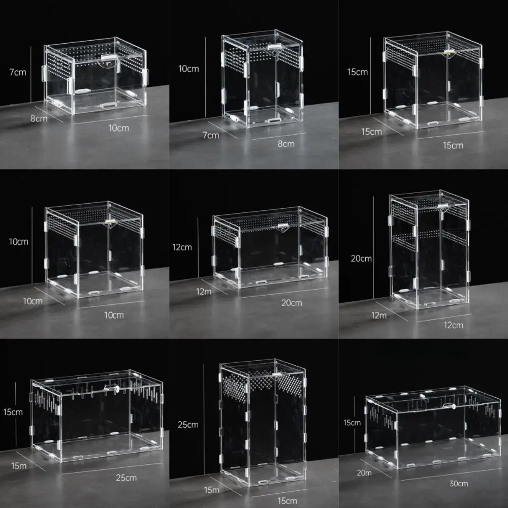 Habitat de Acrílico para Répteis e Aracnídeos Transparente Anti-Fuga - Imagem 6
