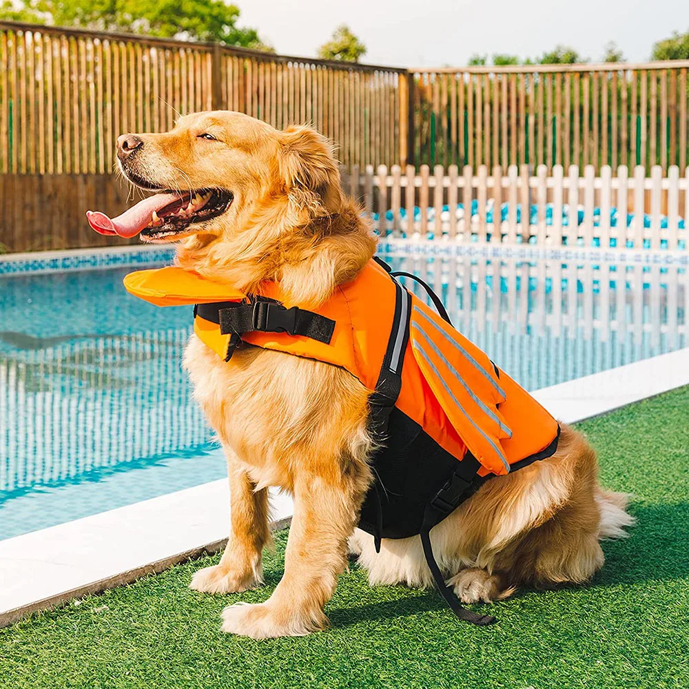 Colete Salva-Vidas para Cães com Alça para Natação e Praia - Image 2