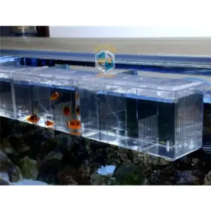 caixa de reprodução para peixes de acrílico