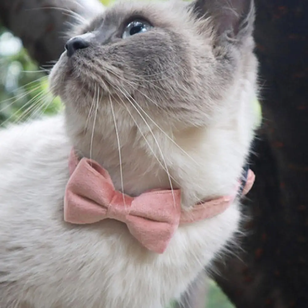 Coleira de Camurça para Gatos e Cães Pequenos Ajustável 18-32cm com Sino - Imagem 3