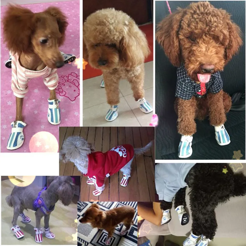 Sapatos para Cães e Gatos de Malha Respirável 4 Peças Antiderrapantes - Image 5