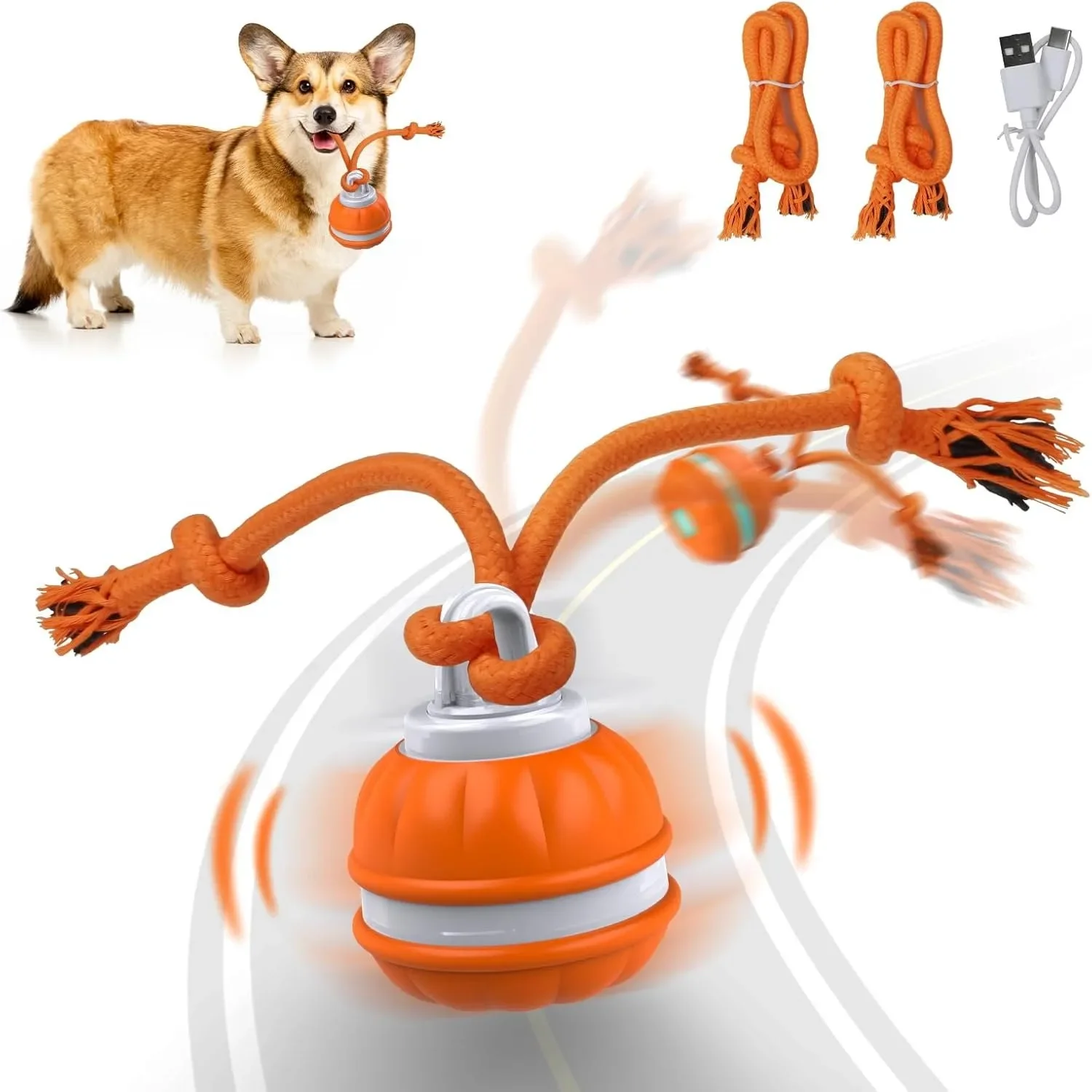 bola interativa para cães recarregável