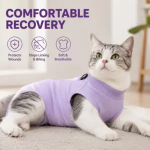 roupa de recuperação para gatos pós-cirúrgica