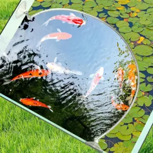 anéis flutuantes para aquário de plantas