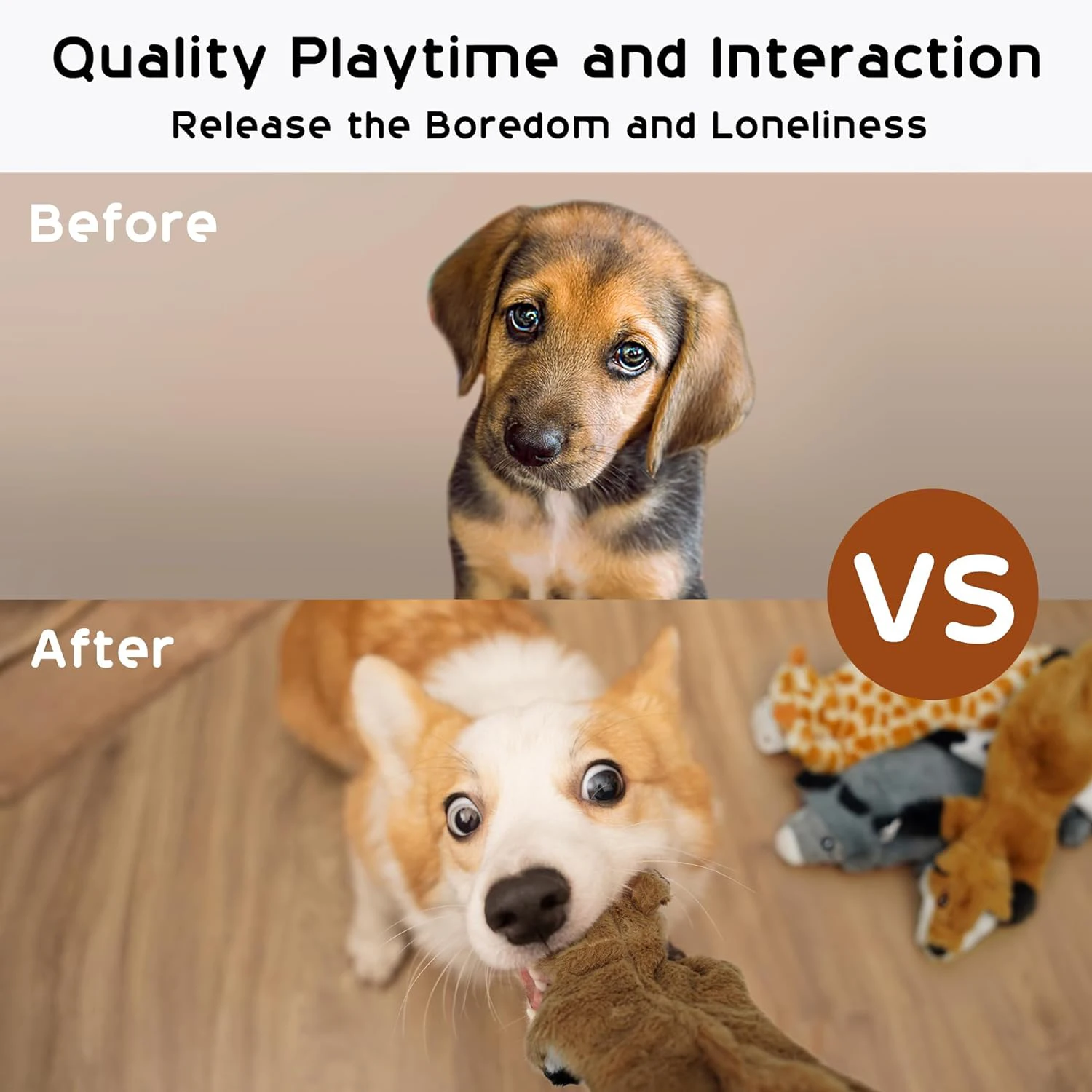 Kit de Brinquedos de Pelúcia para Cães com Guinchos - Imagem 5