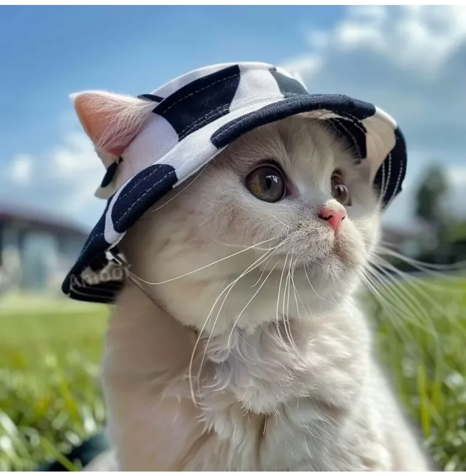 Chapéu de Sol para Cães e Gatos Pequenos e Médios - Image 2