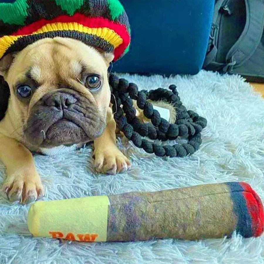 Brinquedo de Pelúcia para Cães Pequenos e Médios com Som - Imagem 5