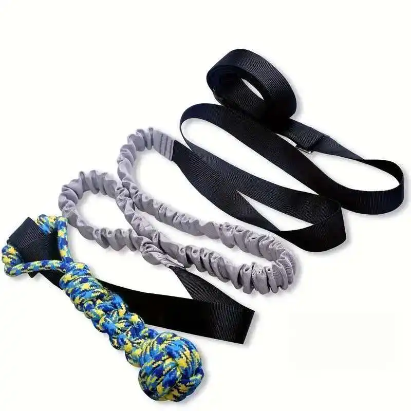 Brinquedo de Rebocador Bungee para Cães Pequenos a Grandes para Árvore - Imagem 6