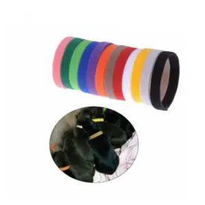 coleiras de identificação para filhotes