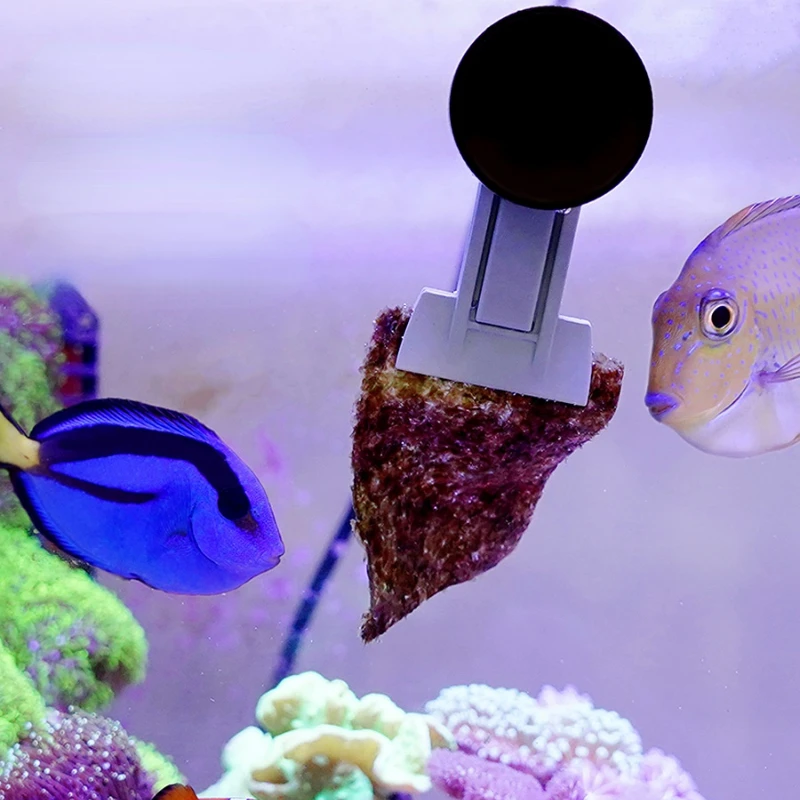 Clipe Magnético VastOcean para Algas em Aquário de até 15 cm - Imagem 2