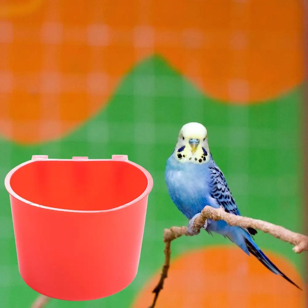 Copo Alimentador para Gaiola com Encaixe para Aves e Coelhos 20un - Imagem 5