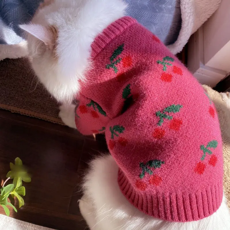 Suéter para Cães Pequenos de Malha com Estampa de Cerejas - Imagem 3