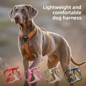 cinto de segurança para cães ajustável