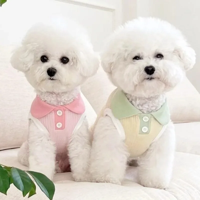 Roupa de Verão para Cães Filhotes e Pequenos Cáqui Escuro - Imagem 3