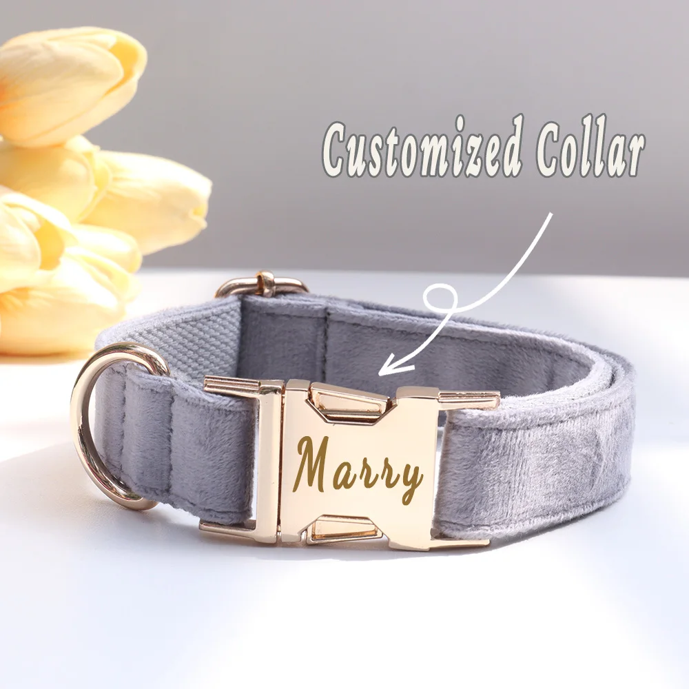 Coleira e Guia Personalizada para Cães com Nome e Telefone - Imagem 4
